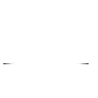 Web Designer Portfolio